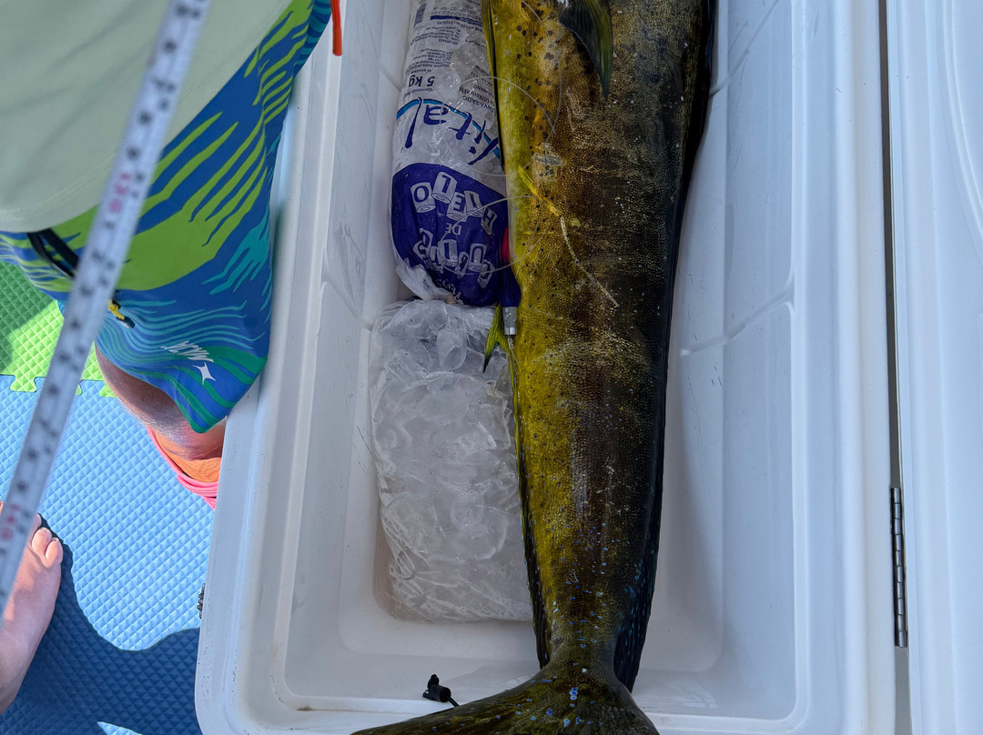 Fishing With Tico Huatulco-Crucecita必去景点