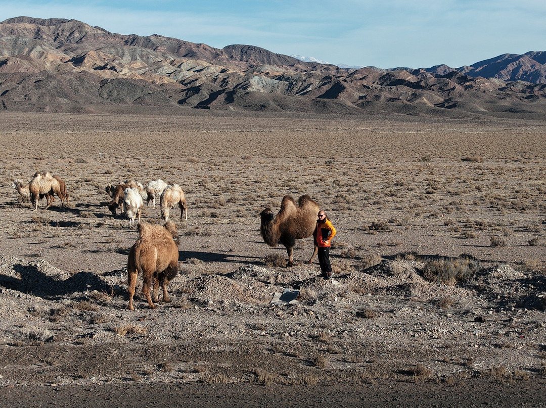 Orto-Tokoy Water Reservoir-Kochkor必去景点