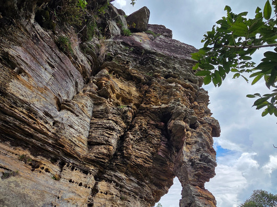 Del Rey Climb-德尔雷伊必去景点