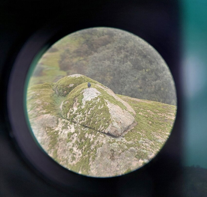 Lyncis Ecoturismo Y Medioambiente-Guarroman必去景点