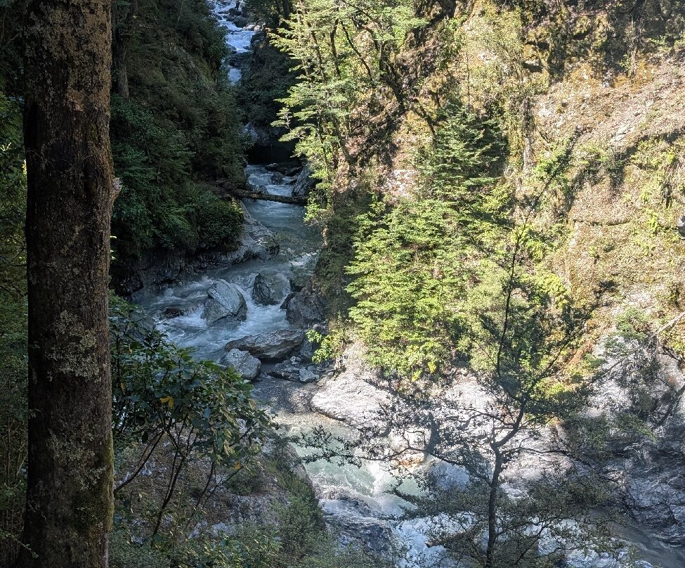 Paradise Ziplines-格伦诺基必去景点