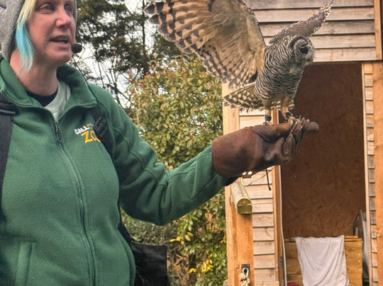 Call Of The Wild Zoo-South Woodham Ferrers必去景点