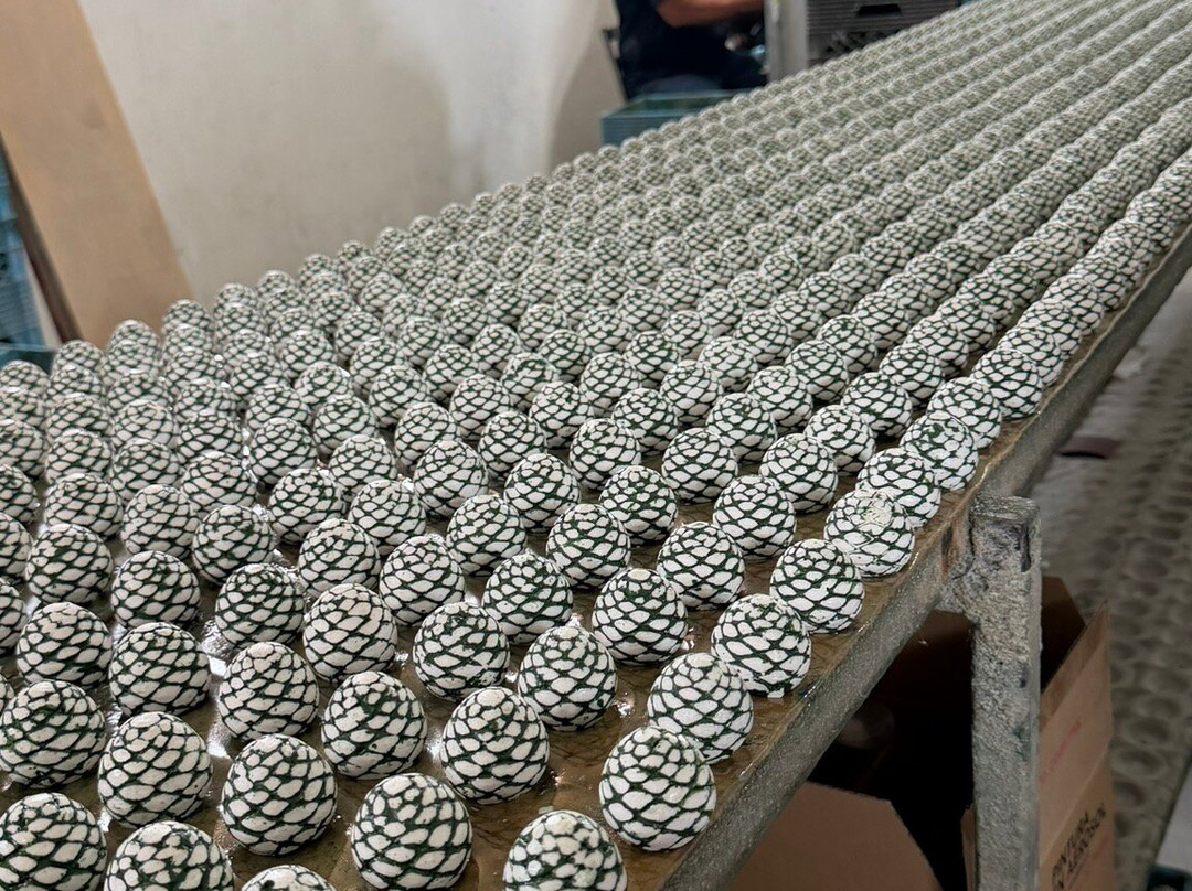 Tequila Fortaleza-特基拉必去景点