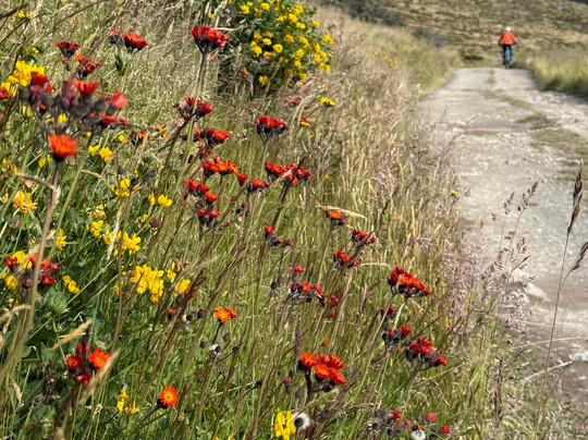 Hanmer Adventure Centre-汉默温泉必去景点