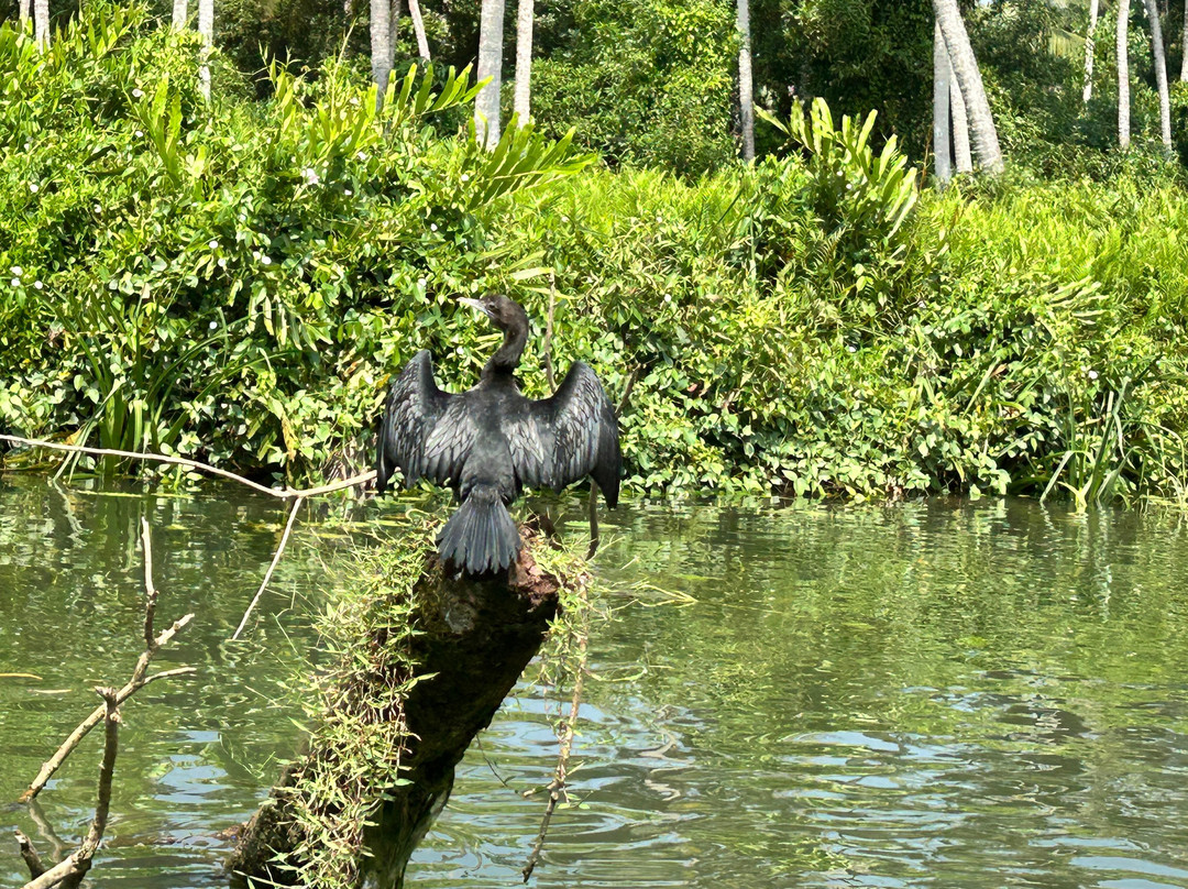 Affluent Travel & Leisure-新德里必去景点