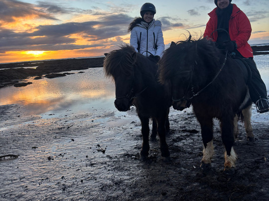 Bakkahestar-Eyrarbakki必去景点
