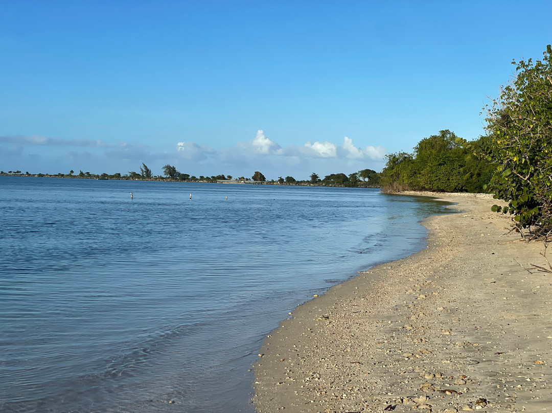 Jurutungo Farm-Florida必去景点