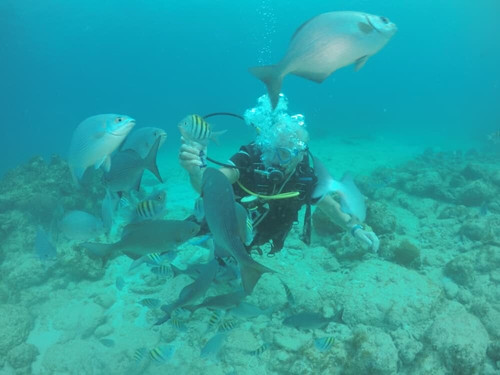UnderwaterCuba-巴拉德罗必去景点