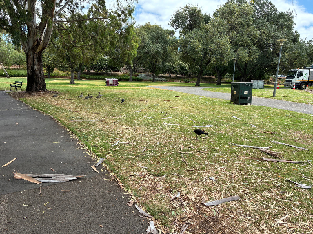 Pinky Flat-阿德莱德必去景点