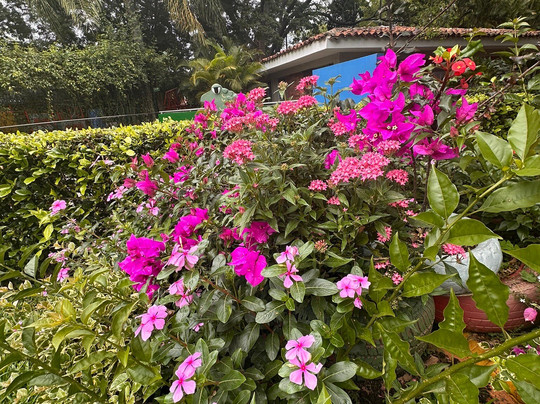 Parque Carlos Sarmiento Lora-Tulua必去景点