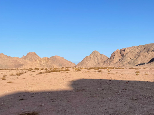 Chill Tours-Port Safaga必去景点