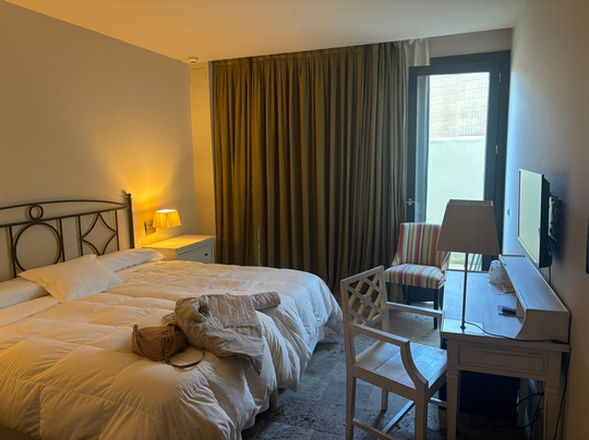 蒙西巴尔宫酒店主图