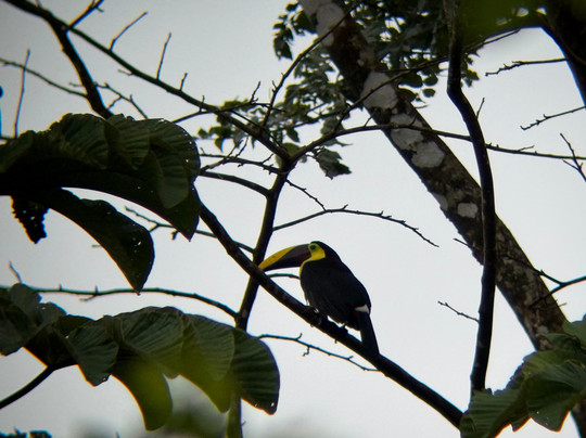 Life Time Travel-萨迪纳尔必去景点