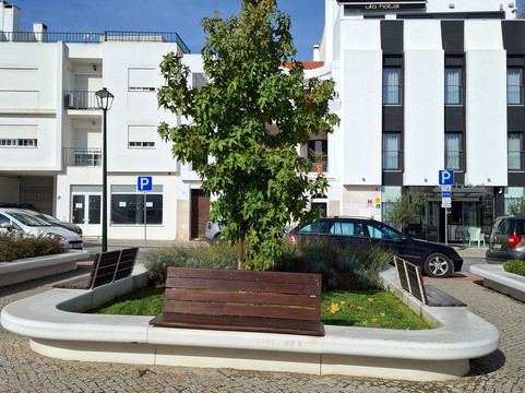 Praça da República-Caldas da Rainha必去景点