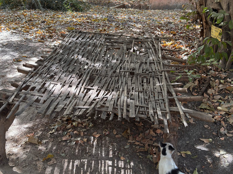 Tanje Village Museum-Tanji必去景点