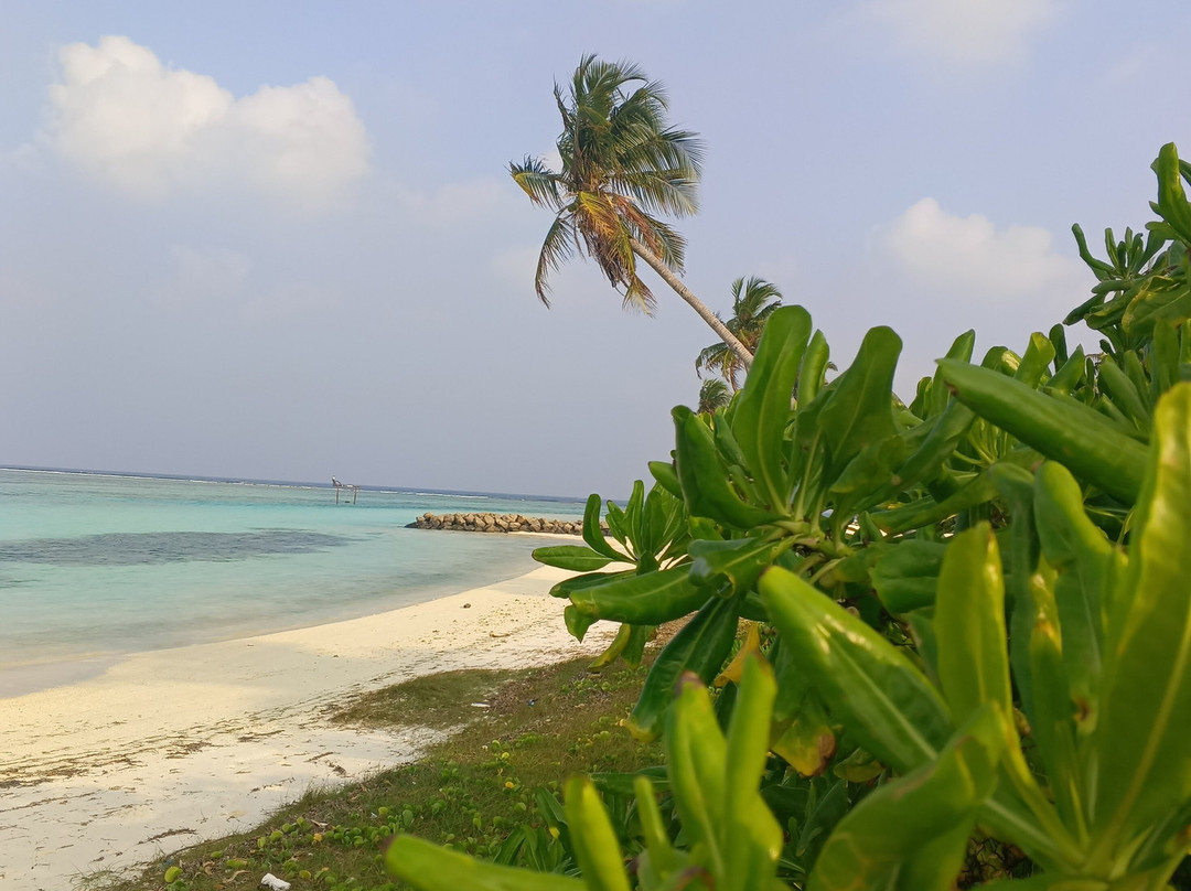 The Bilimbi Guesthouse & Inn主图