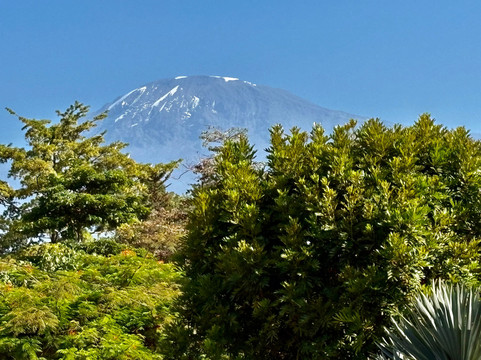 Ameg Lodge Kilimanjaro主图