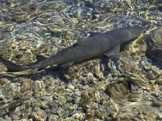 Explore Cape Verde-圣塔玛丽亚必去景点