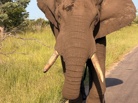 Hylton Langley Safaris-霍德斯普鲁特必去景点