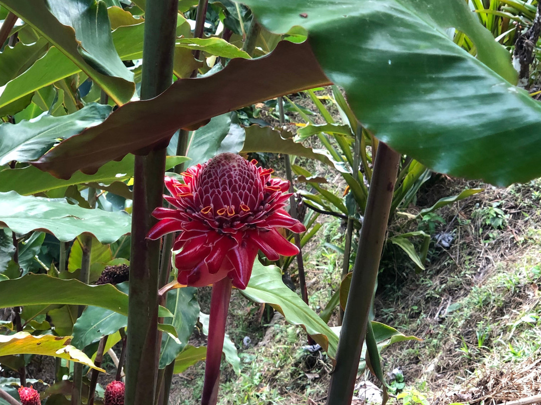 mani gonzalez adventures-La Crucecita必去景点