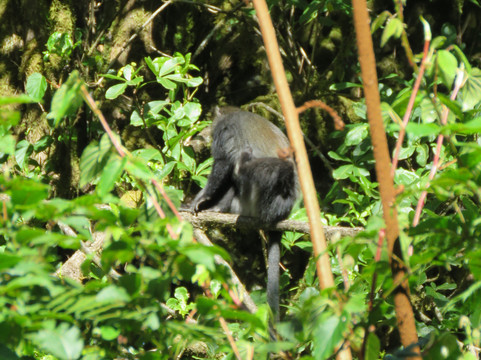 Kandoo Adventures-彭里斯必去景点