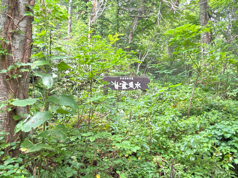 Rishirito Natural Recreation Forest Hokuroku Camp Site-利尻富士町必去景点