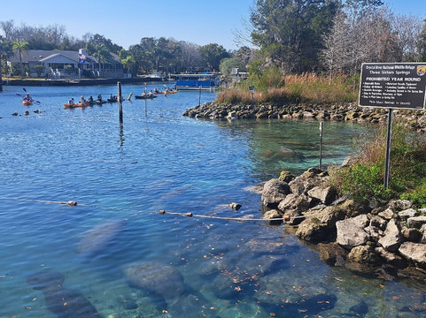 Crystal River National Wildlife Refuge-克里斯特尔里弗必去景点