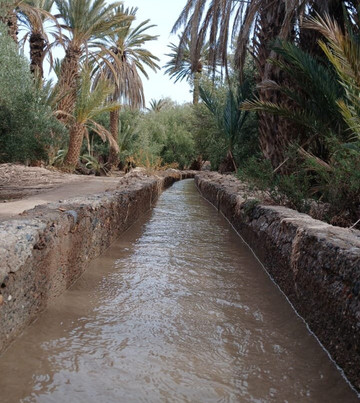Skoura Oasis Tour Guide-Skoura必去景点