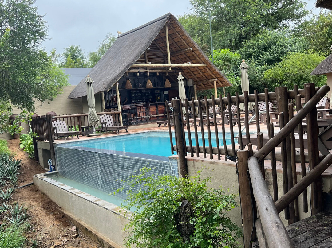 Umkumbe Bush Lodge - Luxury Tented Camp主图