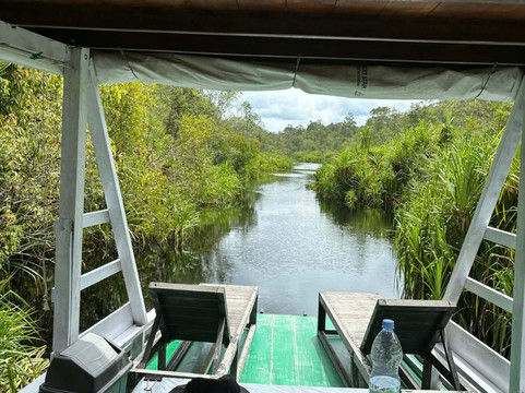 Local Guides - Tanjung Puting-Pangkalan Bun必去景点