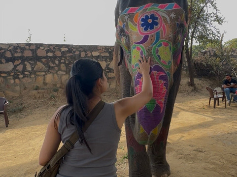 Elefun-斋蒲尔必去景点