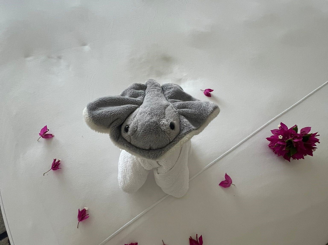 塞拉莱奥巴丽安纳塔拉度假酒店主图