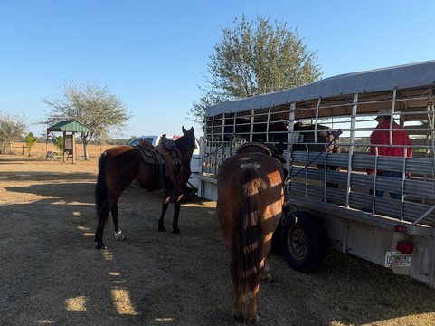 Wagon Wheel Horse Farm-奥基乔比必去景点