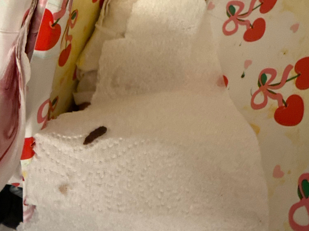 朗康科马Homewood Suites by Hilton主图