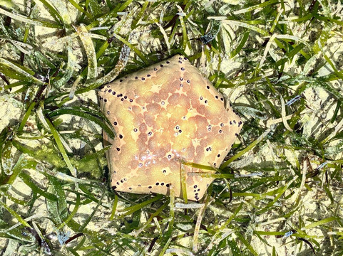 Urafiki Tours and Safari-孥归必去景点