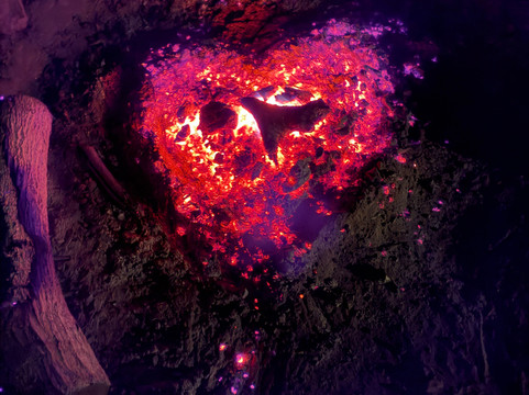 Nayarit Wild-旧金山必去景点