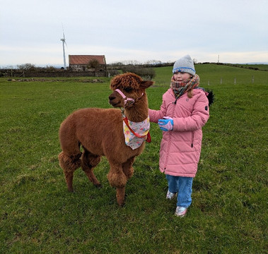 North Coast Alpacas-科尔雷恩必去景点