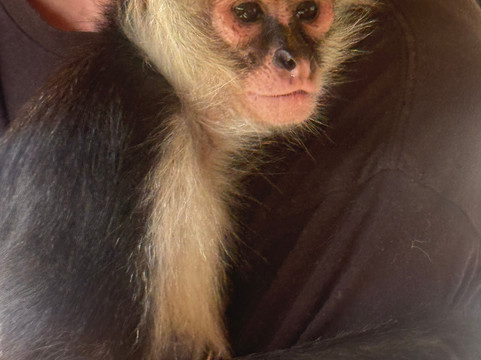 Animal Edventure Park-博因顿海滩必去景点