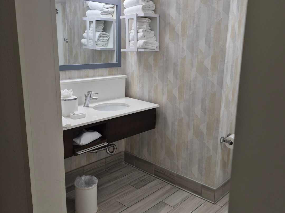 亚特兰大-德卢斯-格威内特县欢朋套房酒店主图