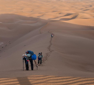 Mélodie du désert-迈哈米德必去景点