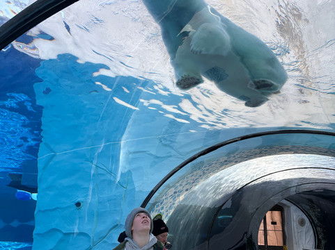 Detroit Zoo-罗亚尔奥克必去景点