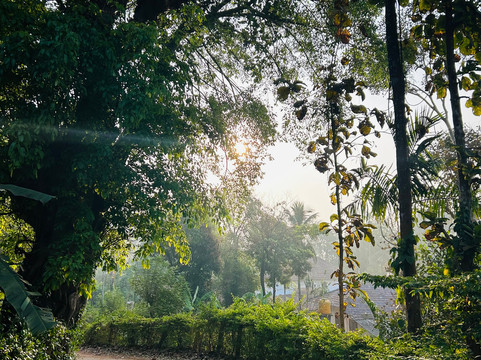 Casa Coorg Homestay主图