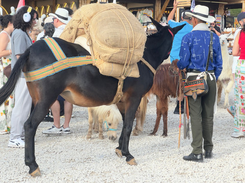 República El Alto del Chocho