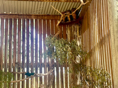 Raptor Refuge-Kettering必去景点