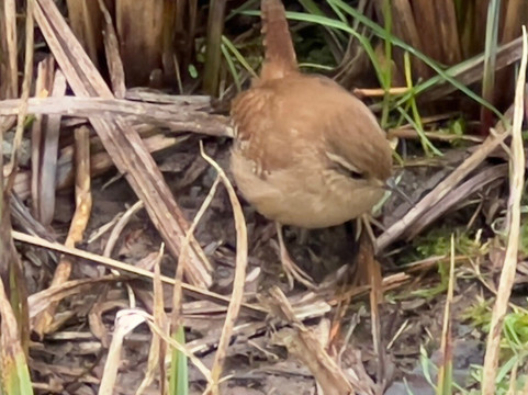 Stafford Moor Fishery-Dolton必去景点
