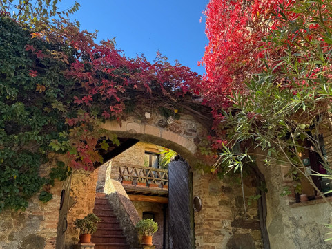 Podere Patrignone主图