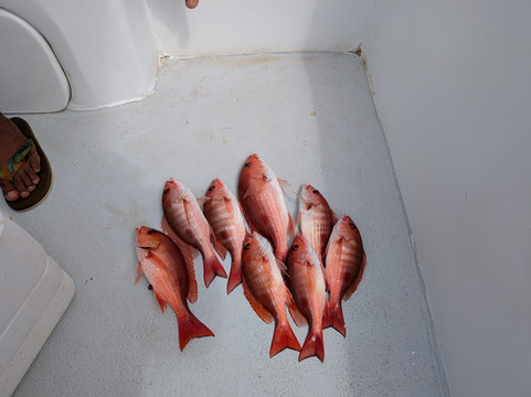 Blue Sky Private Tours-利比里亚必去景点