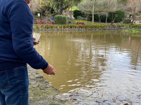 Cline Cellars-索诺玛必去景点