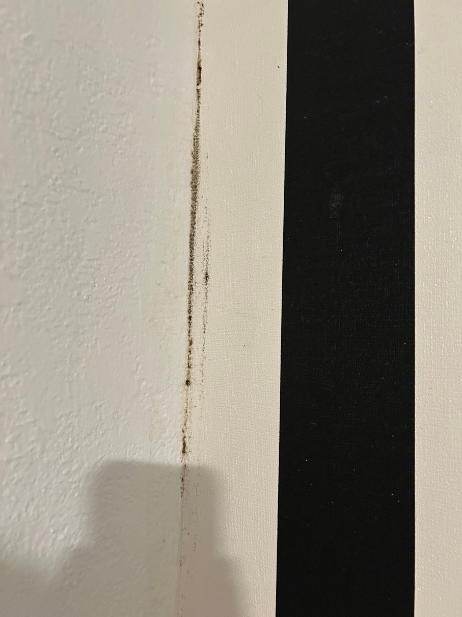 科尔多瓦酒店 - 圣彼得堡-客卧