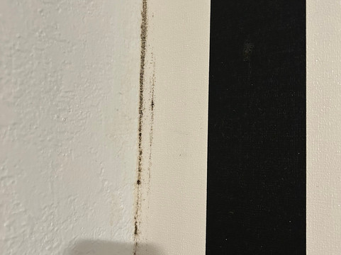 科尔多瓦酒店 - 圣彼得堡主图